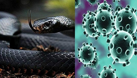 Coronavirus: भारत समेत इन देशों में फैल चुका है कोरोना वायरस,  अब तक 425 लोगों की मौत